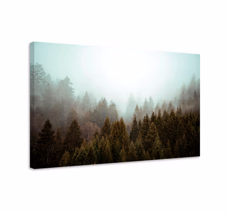 Tableau paysages vue bois brumeux - TenStickers