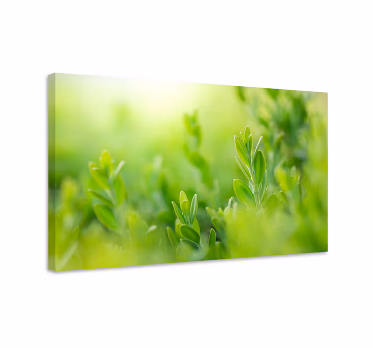 Tableau fleurs et plantes verdure luxuriante en gros plan - TenStickers