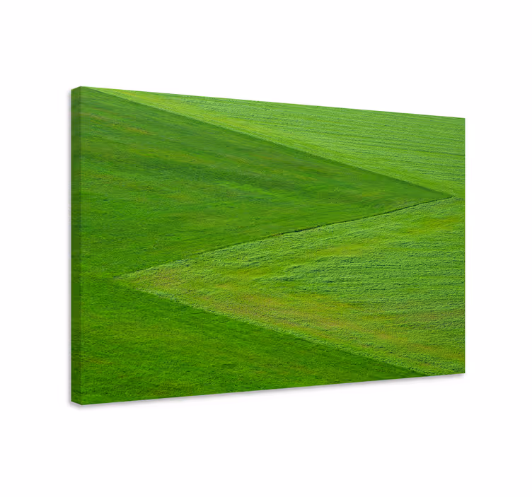 Tableau paysages terrain verdoyant luxuriant - TenStickers
