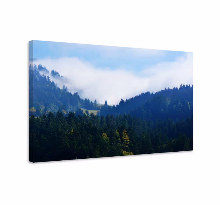 Tableau paysages sommets forestiers majestueux - TenStickers