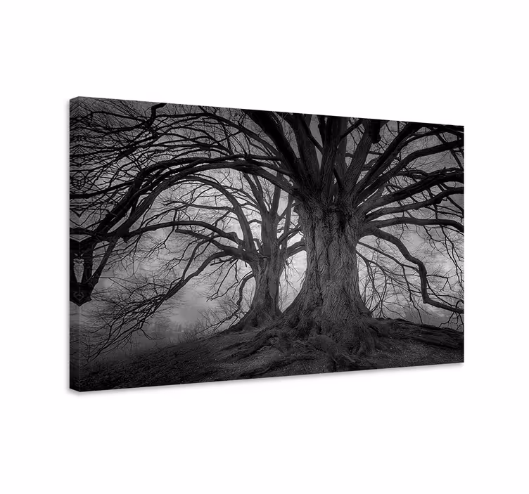 Tableau arbres mystérieux sans feuilles - TenStickers