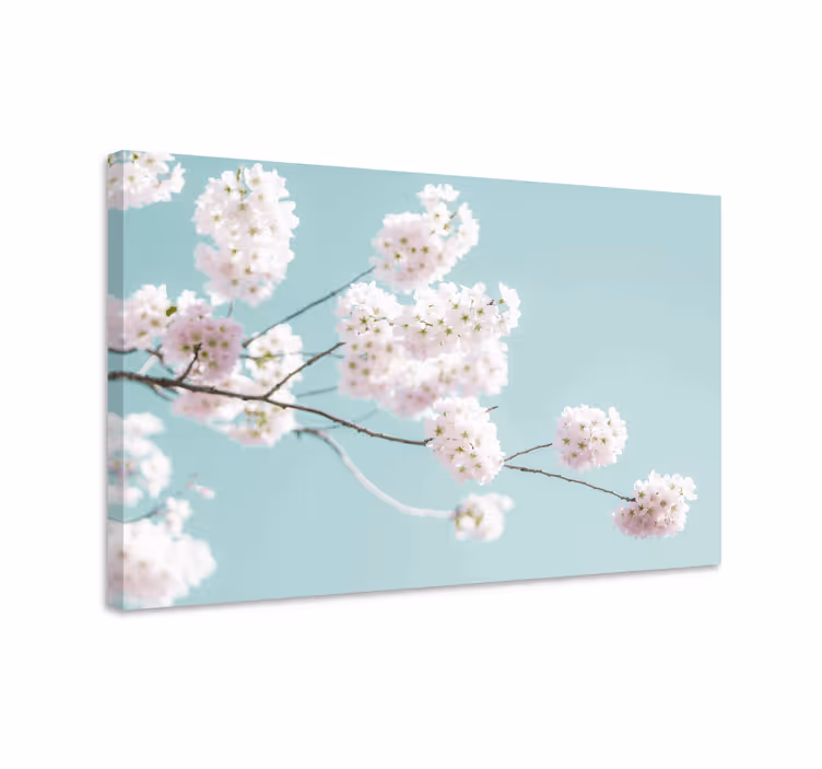 Tableau fleurs et plantes tige de fleur sakura - TenStickers