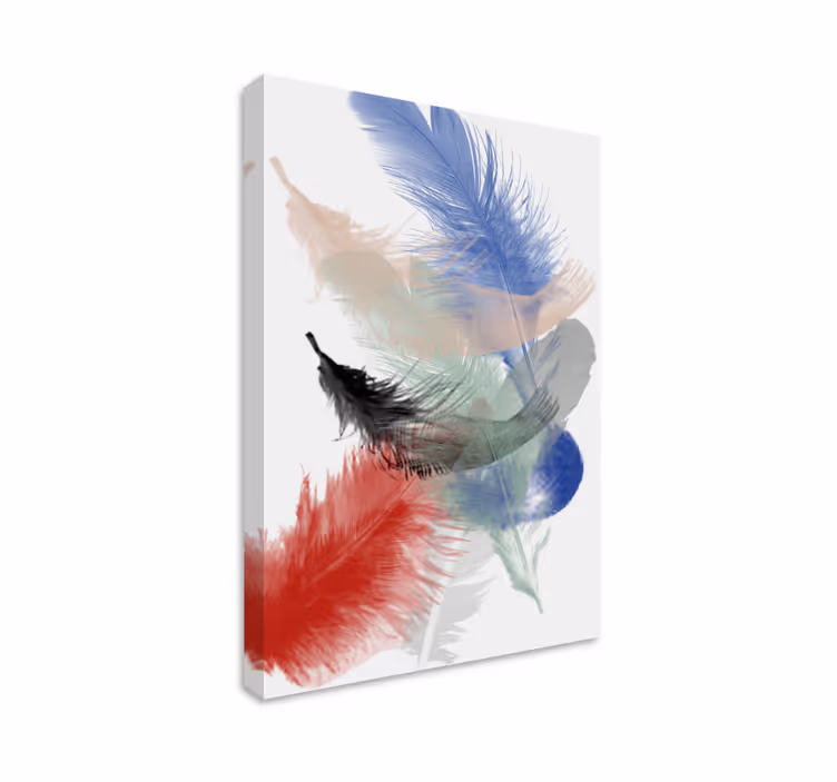Tableau plumes affichage de plumes colorées - TenStickers