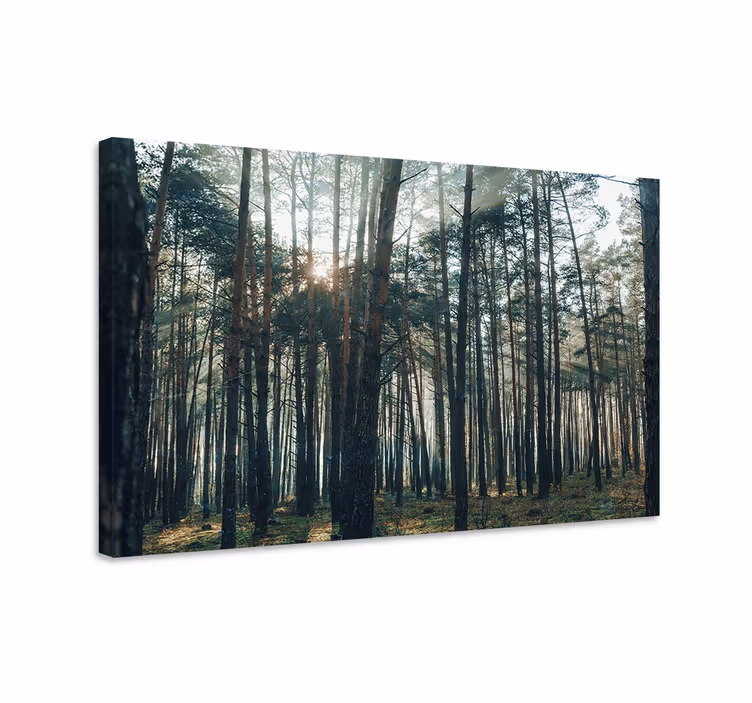Tableau arbres Éclat de forêt majestueux - TenStickers