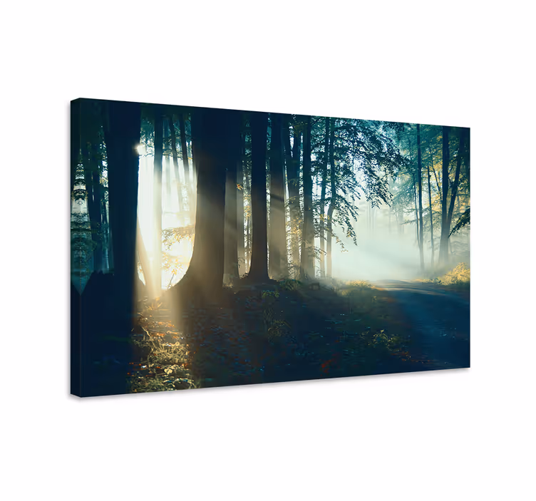 Tableau paysages sentier forestier brumeux - TenStickers