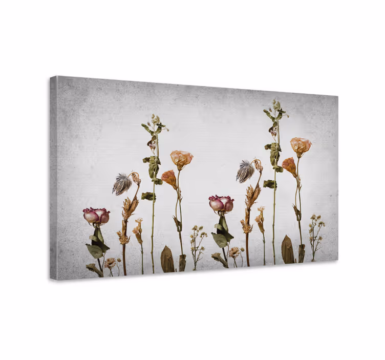 Tableau fleurs et plantes composition de fleurs séchées - TenStickers