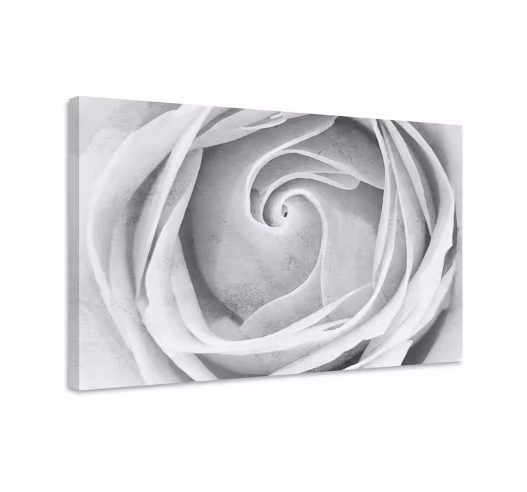 Tableau fleurs et plantes spirale de roses élégante - TenStickers