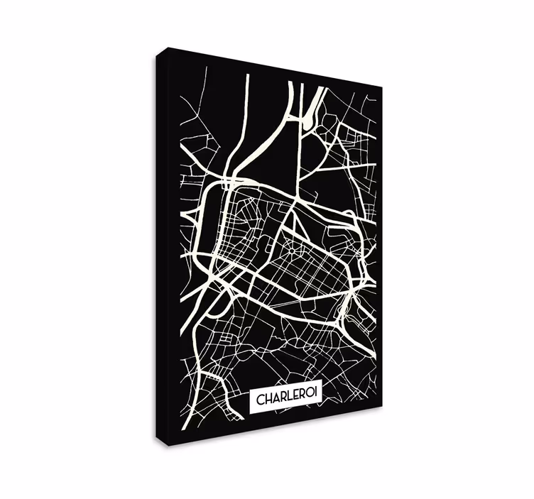 Tableau Carte Topographique Charleroi - TenStickers