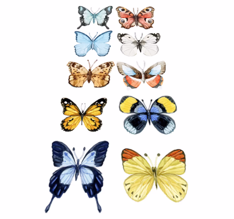 Tapis vinyle animal dix papillons colorés - TenStickers