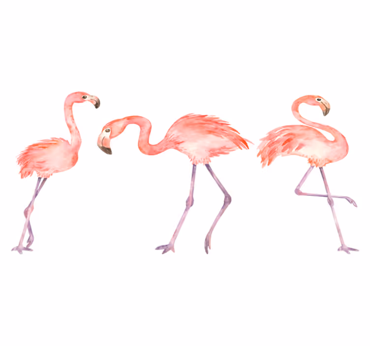 Tapis vinyle animal trio de flamants Élégants - TenStickers