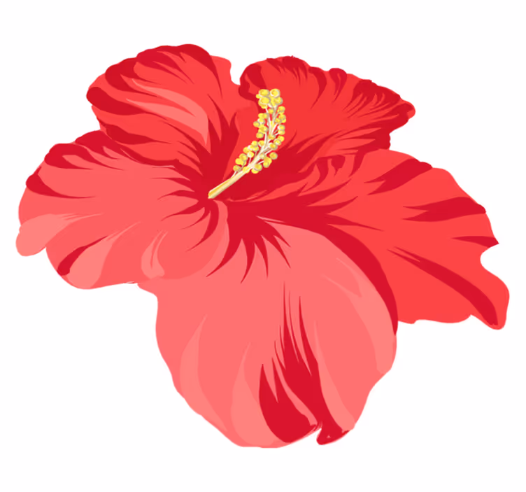 Tapis vinyle fleurs et plantes hibiscus rouge - TenStickers