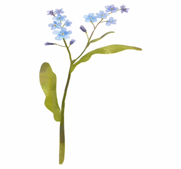 Tapis vinyle fleurs et plantes bleu gracieux - TenStickers