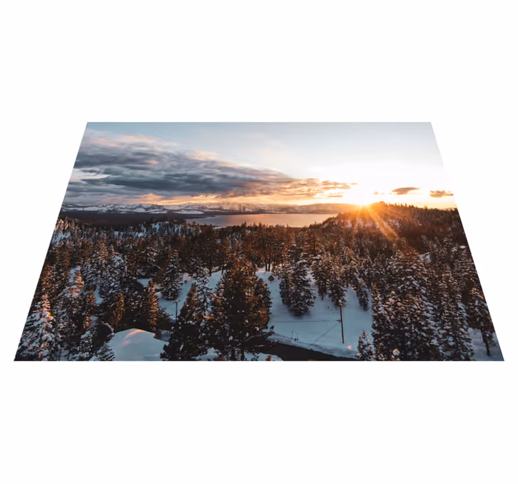 Tapis vinyle nature paysage forestier luxuriant - TenStickers