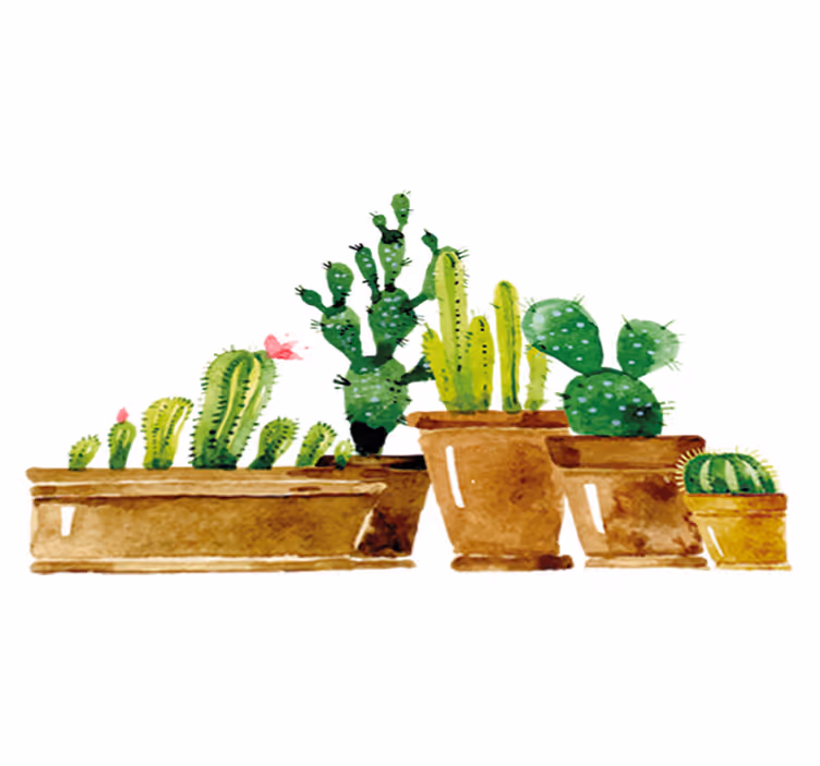 Tapis vinyle fleurs et plantes jardin de cactus fait maison - TenStickers