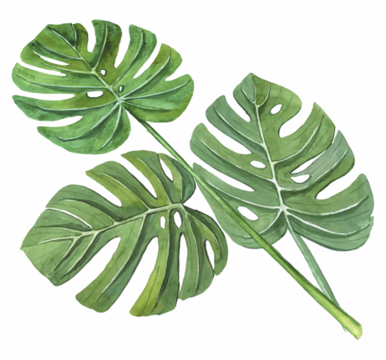 Tapis vinyle fleurs et plantes feuilles aquarelle monstera - TenStickers