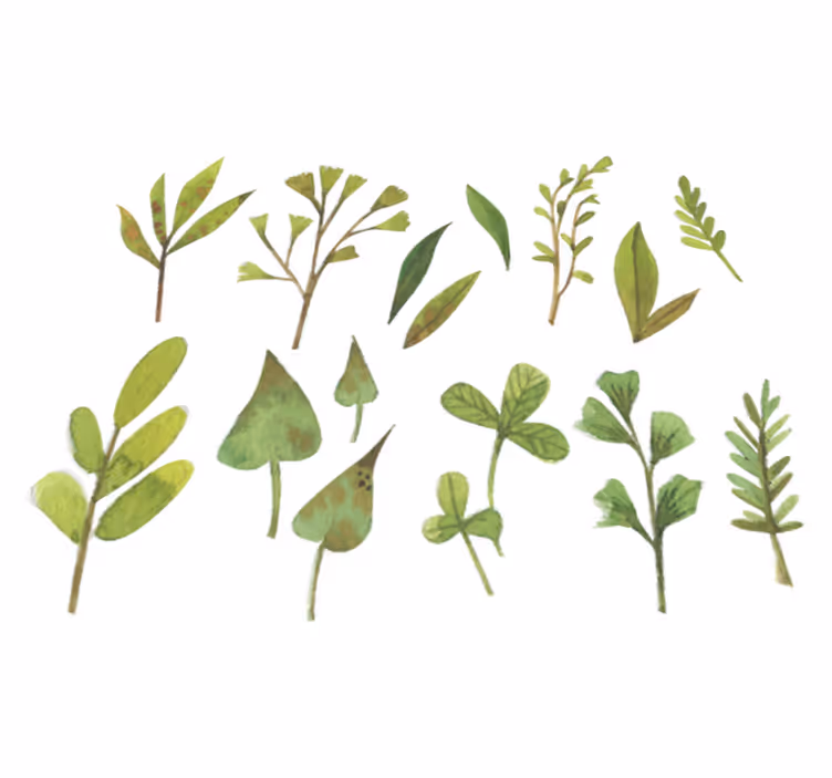 Tapis vinyle fleurs et plantes aquarella petites feuilles - TenStickers