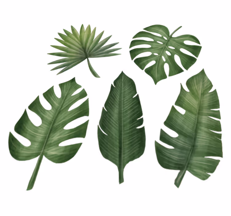 Tapis vinyle fleurs et plantes grandes feuilles vertes - TenStickers