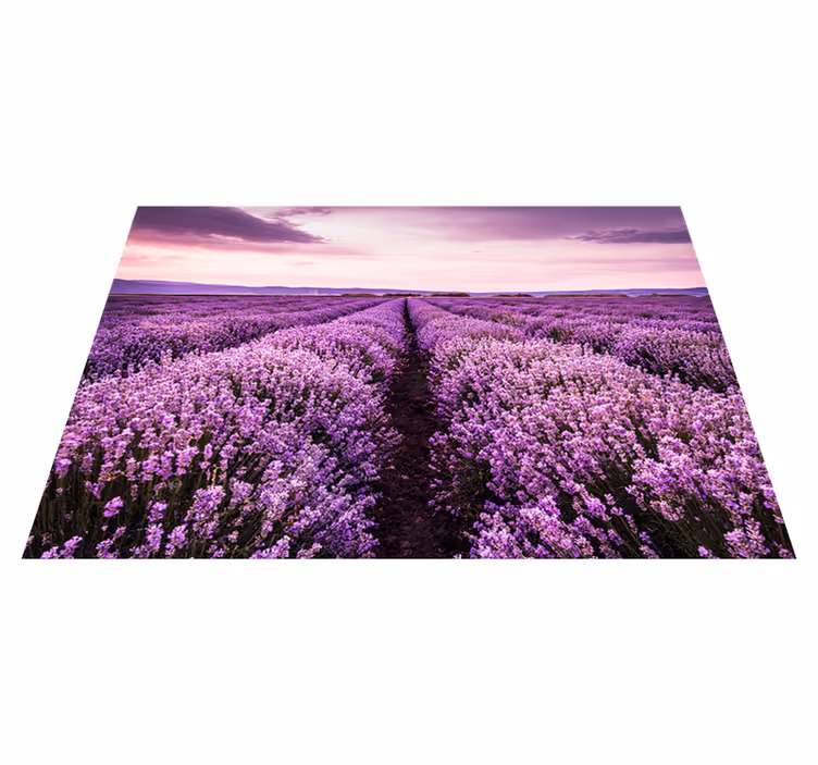 Tapis vinyle violet fleurs de lavande en provence - TenStickers