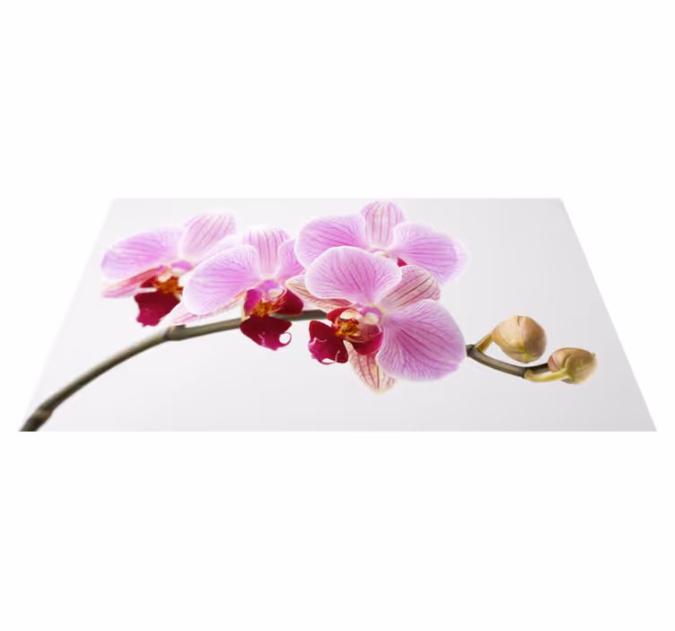 Tapis vinyle fleurs et plantes conception d'orchidée rose - TenStickers