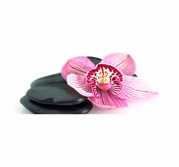 Tapis vinyle fleurs et plantes orchidée et pierres - TenStickers