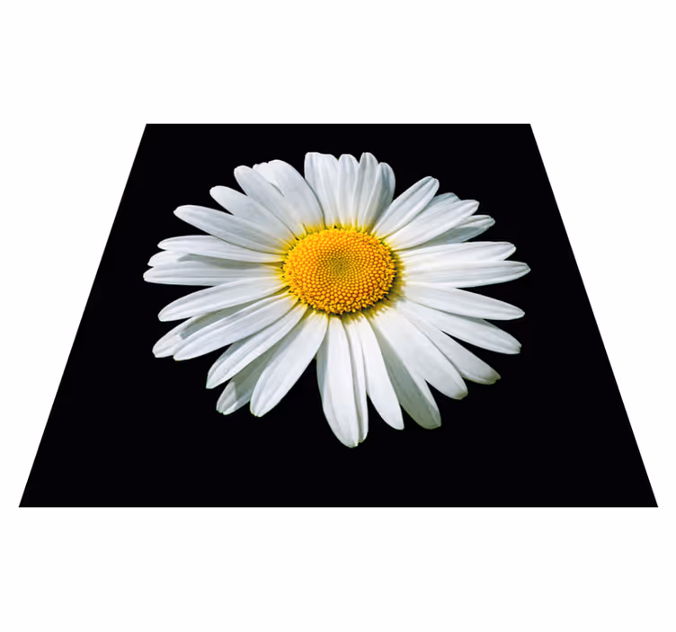 Tapis vinyle fleurs et plantes fleur de marguerite - TenStickers