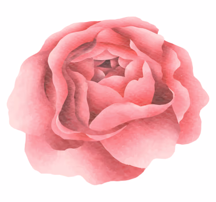Tapis vinyle fleurs et plantes fleur rose blush - TenStickers