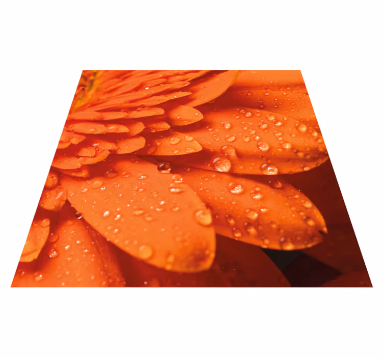 Tapis vinyle fleurs et plantes pétales orange vif - TenStickers