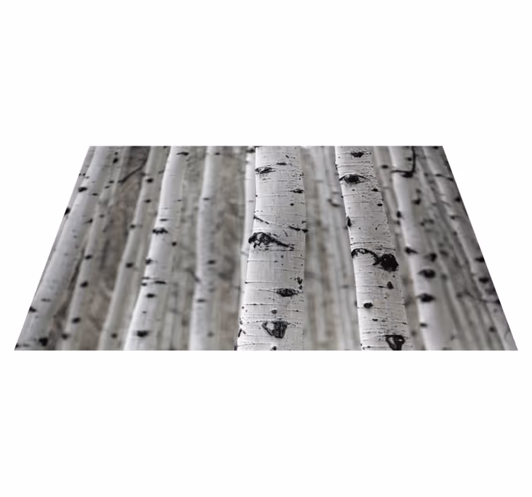 Tapis vinyle nature forêt de bouleaux - TenStickers