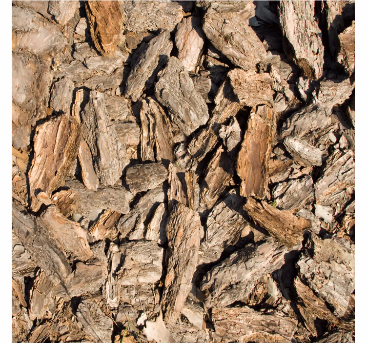 Papier peint ornemental écorce d'arbre rustique marron - TenStickers
