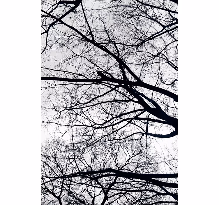 Papier peint arbres blanc et gris - TenStickers