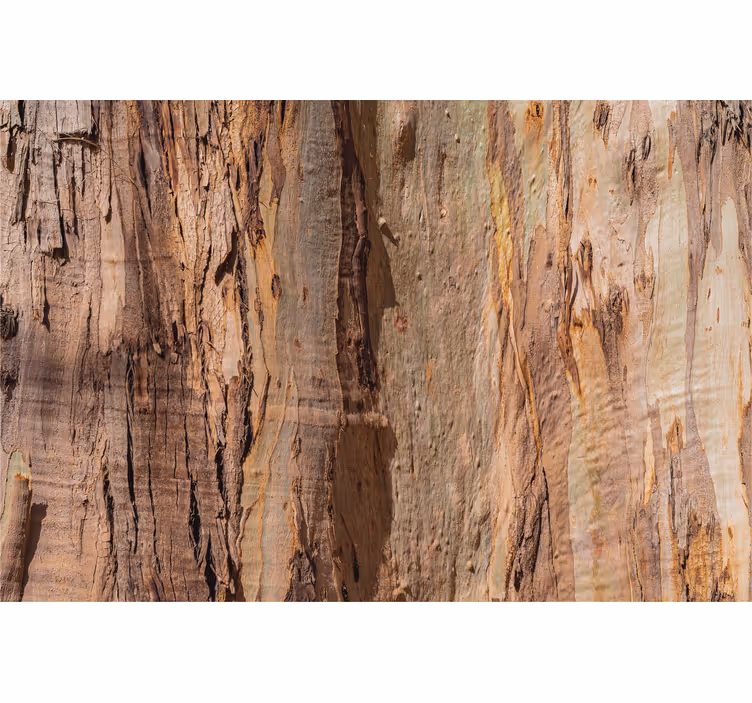 Papier peint rustique texture écorce de bois brun - TenStickers