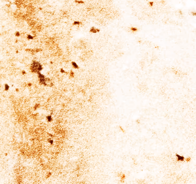 Papier peint effet marbre esthétique de la pierre naturelle - TenStickers