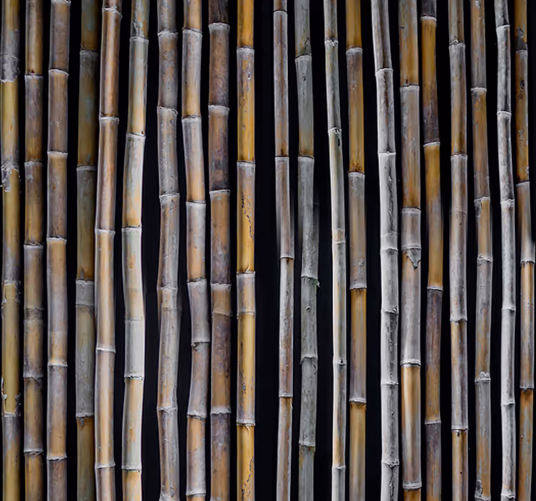Papier peint nature modèle de tiges de bambou - TenStickers