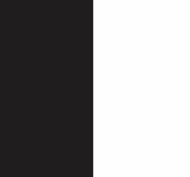 Papier peint Gothique blanc et noir - TenStickers