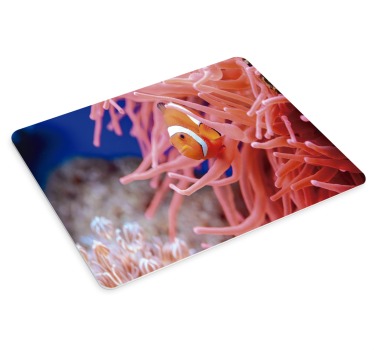 Tapis de souris xxl poisson clown parmi les anémones - TenStickers