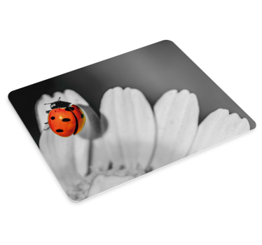 Tapis de souris original coccinelle sur fleur - TenStickers