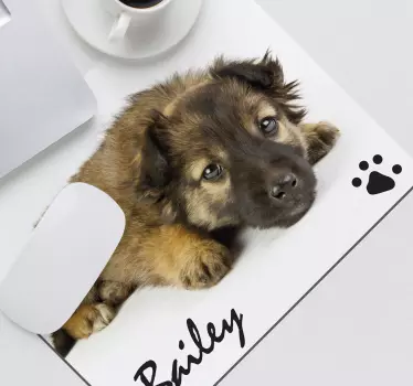 tapis de souris avec nom Photo et nom de chien personnalisés - TenStickers
