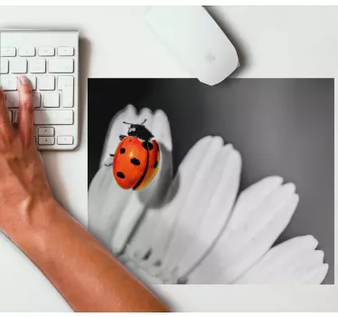 Tapis de souris original coccinelle sur fleur - TenStickers