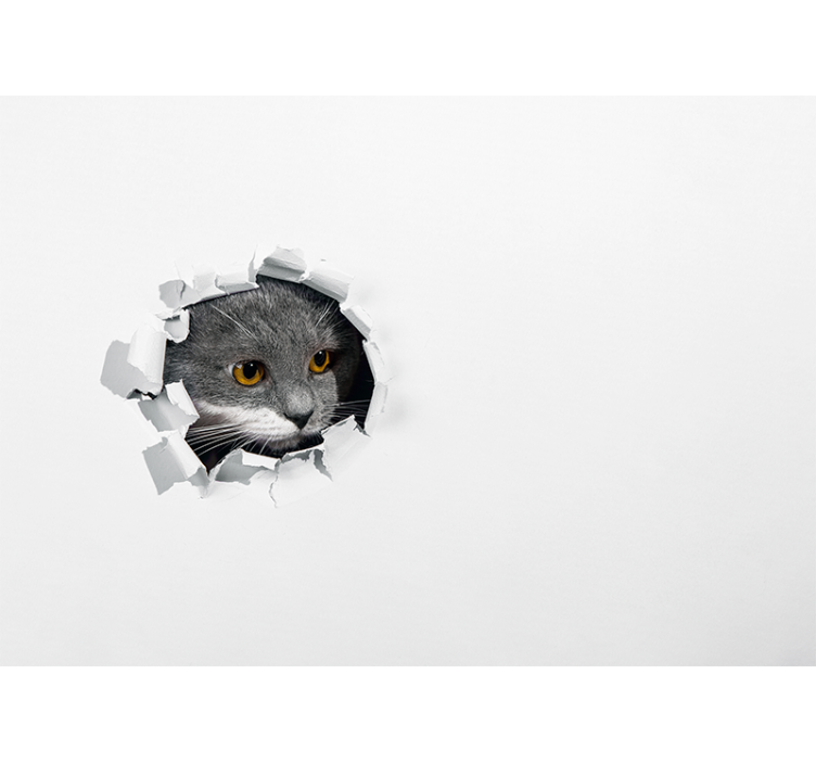 Store enrouleur blanc chat mignon - TenStickers