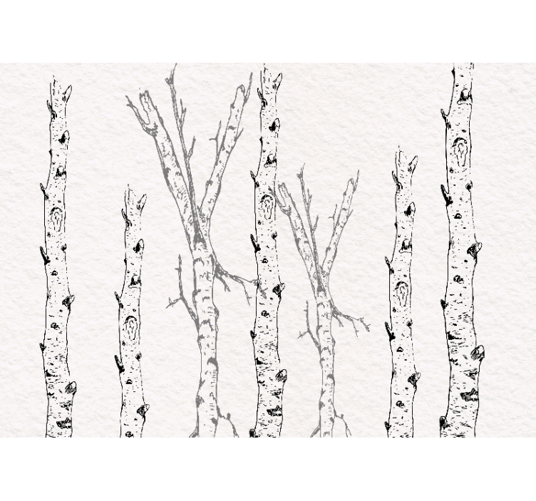 Store enrouleur blanc tiges de bouleau - TenStickers