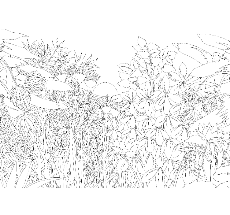 Store enrouleur blanc croquis jungle tropicale - TenStickers