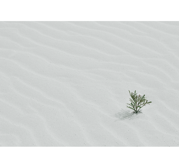 Store enrouleur blanc sable désert blanc - TenStickers