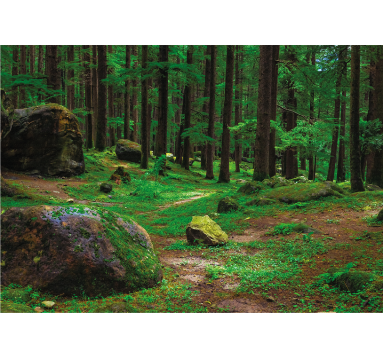 Store enrouleur salon forêt verte avec arbres - TenStickers