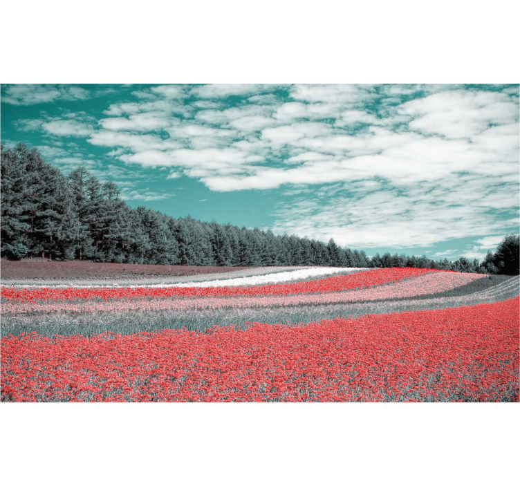 Store enrouleur salon champ de fleurs variées - TenStickers
