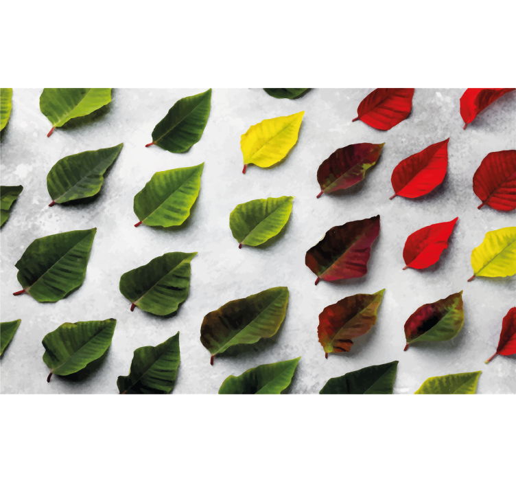 Store enrouleur salon vue de dessus feuilles colorées - TenStickers