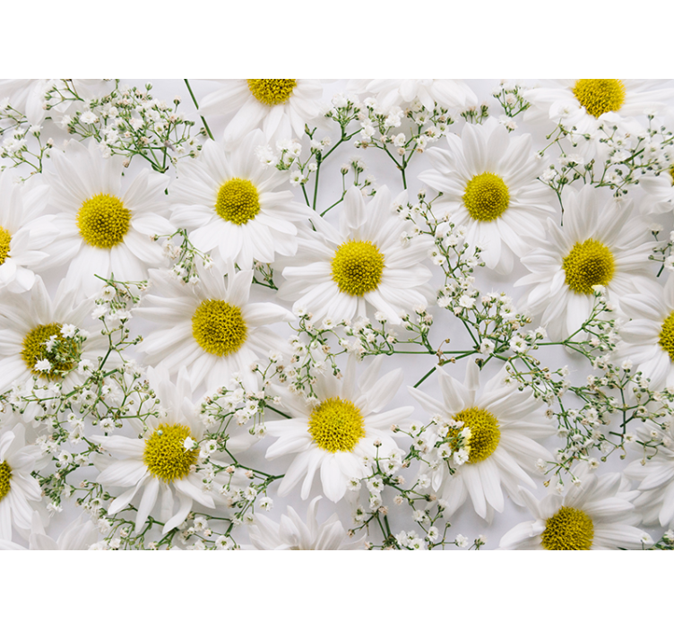 Store enrouleur salon fleur marguerite - TenStickers
