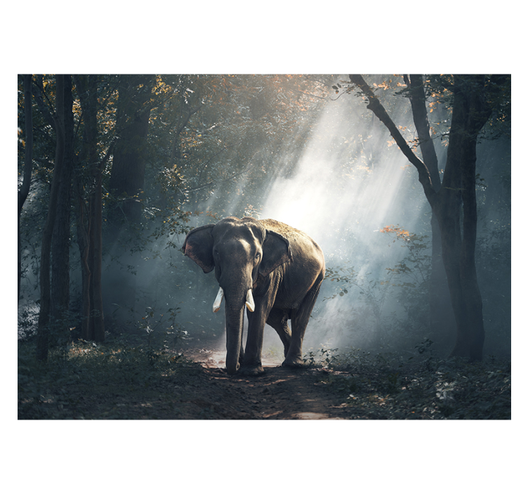Store enrouleur salon éléphant dans la forêt - TenStickers