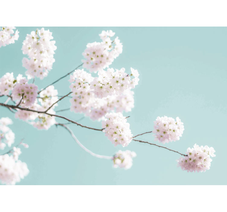 Store enrouleur salon design floral blanc élégant - TenStickers