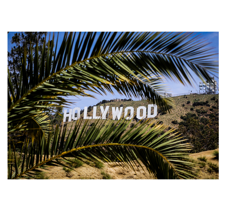 Store enrouleur salon avec panneau hollywood et arbre - TenStickers