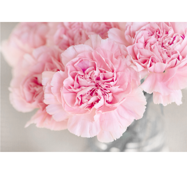 Store enrouleur salon nombreux œillets roses fond gris - TenStickers